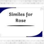 Similes for Rose