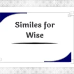 Similes for Wise