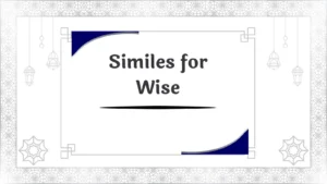 Similes for Wise